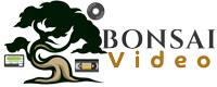 Bonsai Video